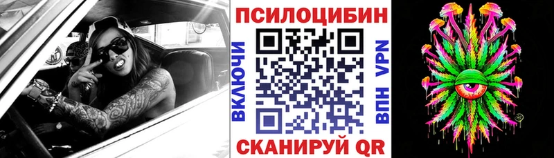 Купить  Вольск  Галлюциногенные грибы MAGIC MUSHROOMS 