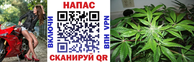 Каннабис индика  Купить  Вольск 